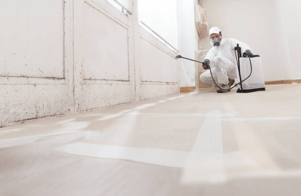 24/7 Emergency Mold Removal experts in Newton Highlands, MA