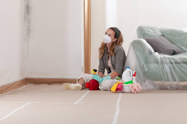 Reliable Mold Removal contractor in Newton Highlands, MA by Mold Remediation HQ